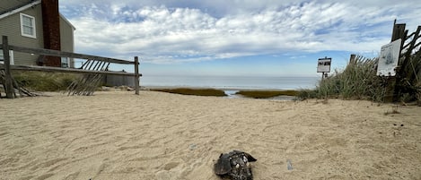 Ellis Landing Beach Picture