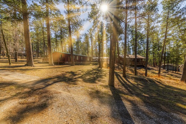 Horseshoe Canyon — your cozy cabin retreat tucked beneath Ruidoso's tall pines.