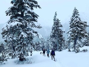 Snow and ski sports