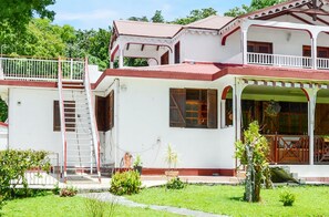 Back view