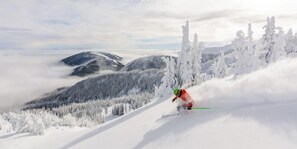 Apex Mountain Resort