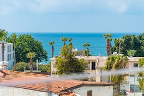 Vista dalla camera