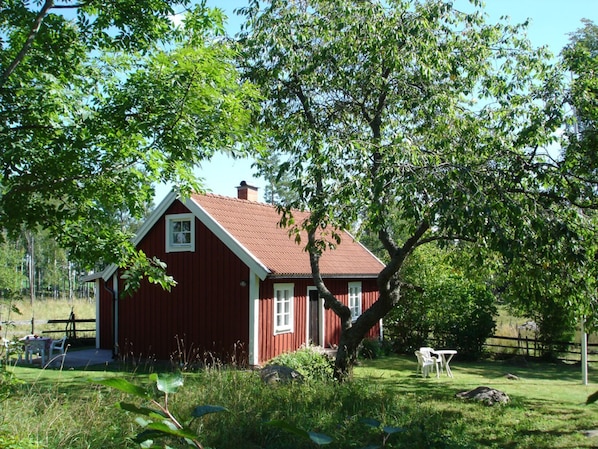 Extérieur
