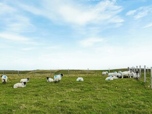 Surrounding area | Heb Way Cottage, North Dell, Isle of Lewis