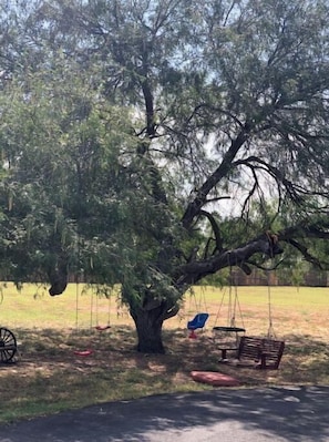 Property grounds
