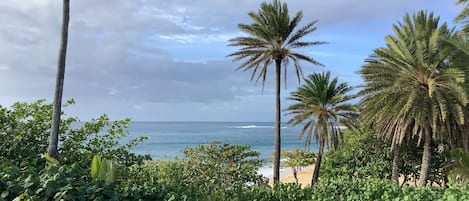 View from the deck , looking out to sunset point