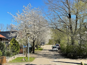 Ferienhaus am Mümmelbrook in Feldberg