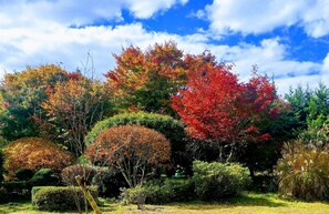 Autumn garden