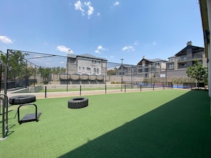 Sport court