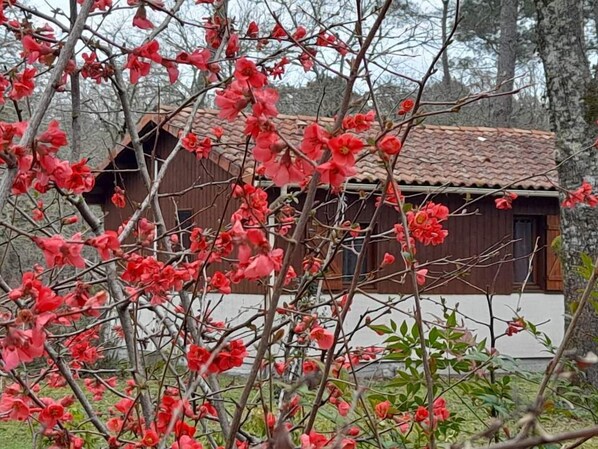 Detalhe da fachada