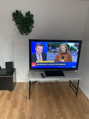 Fernseher