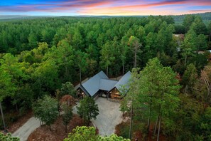 Surrounded by pines!