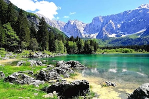 Immediate Surroundings [summer] (&lt;1 km)