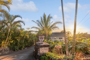 Palm Tree, Tree, Vegetation, House, Outdoors