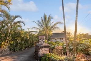 "Palm Tree","Tree","Vegetation","House","Outdoors"