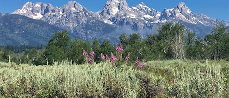 Grant Teton, photo taken 12 miles from home at the Chapel of Transfiguration