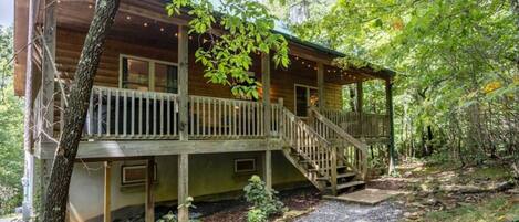 Moonlight Mountain Escape: A secluded cabin in the woods on 8+ acres!