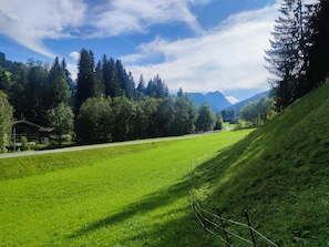 View from Holiday Home [summer]