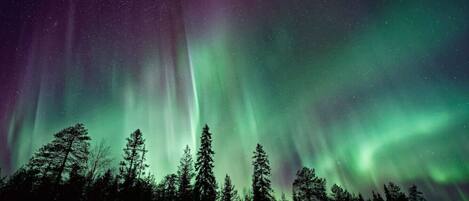 Aurora borealis from your doorstep