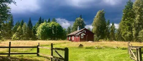 Overnattingsstedets uteområder