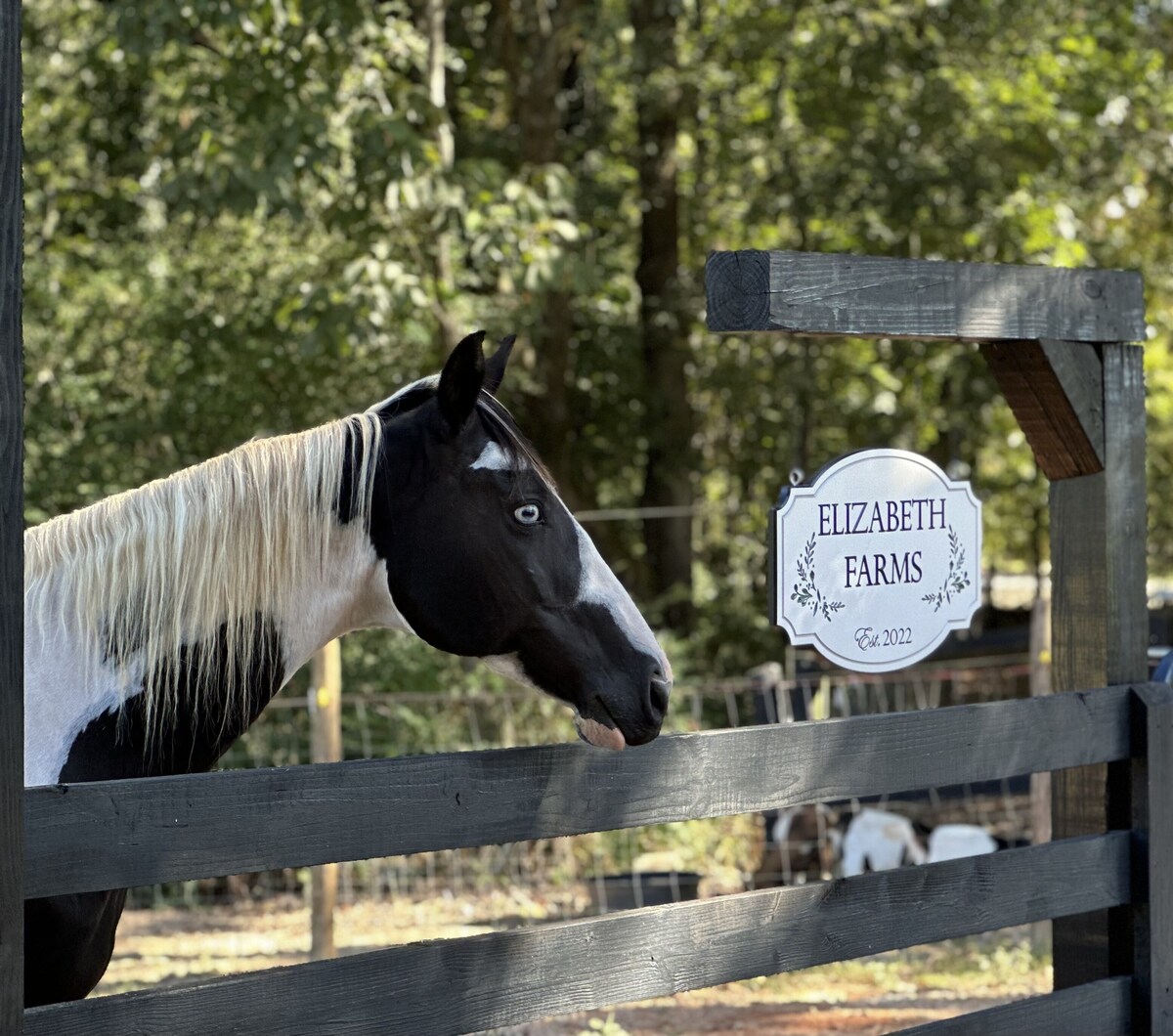 Enjoy a cozy experience at Elizabeth Farms! Close to hiking & equestrian trails.