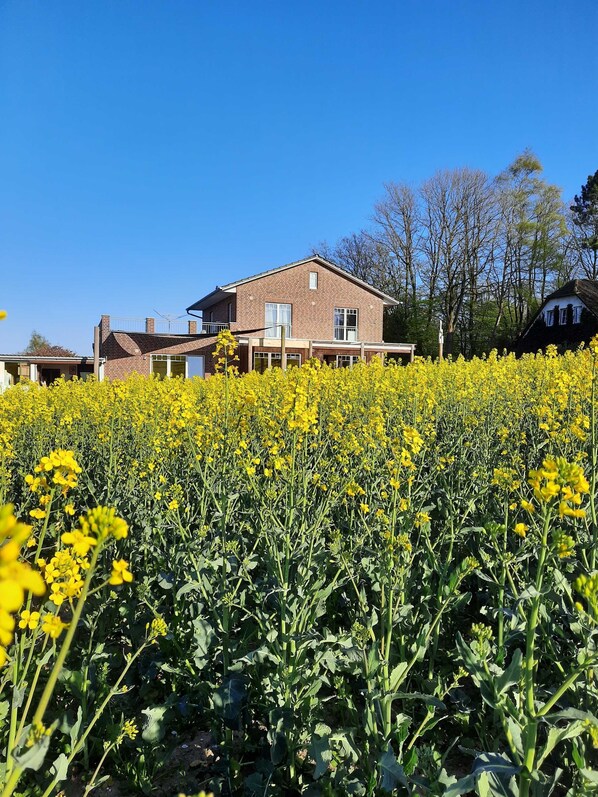 FeWo (linker Flachdach-Anbau)