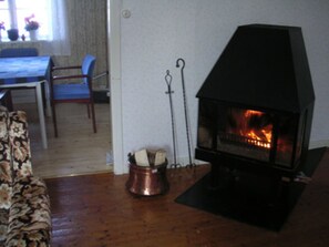 living area with romantic open fire