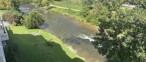 Terrain de l’hébergement 