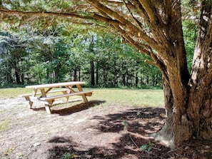 Picnic table with BBQ grill