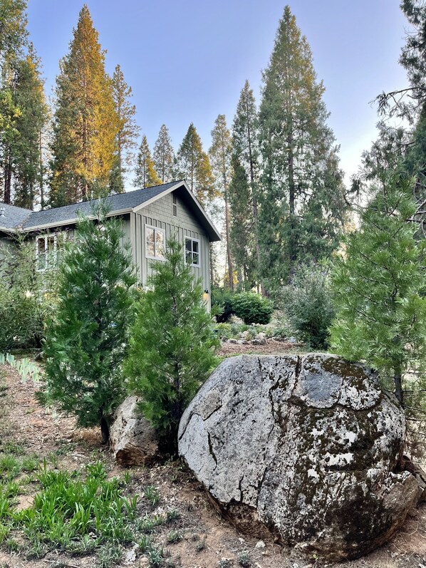 Your view as you turn into the driveway.