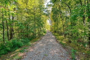 Secluded Driveway