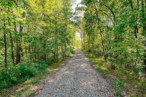 Secluded Driveway