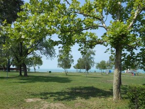 Parco della struttura