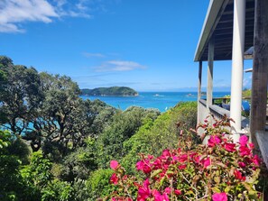 View from the deck (1)