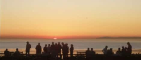 Evening Picnic at Community Bluff. (See dolphins and whales)