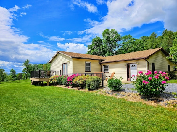 Early Summer view with bright pink peonies and vibrant blue mountain views!