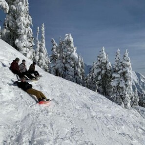 Sneeuw- en skisporten