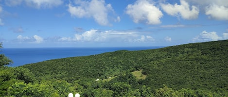 Vista dalla struttura