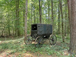 Whiskey in the Woods Antique buggy in the yard