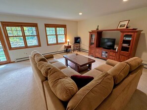 Lower level living area with TV