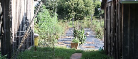 Enceinte de l’hébergement