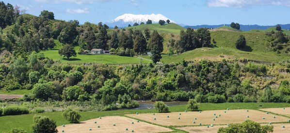 View to Mt Ruapehu