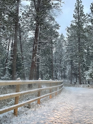 Second driveway in the winter