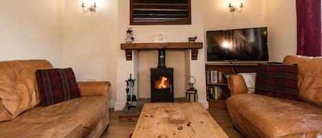 Living room with log burner and smart tv