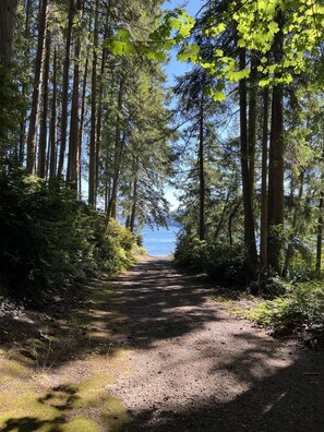 Terrain de l’hébergement 