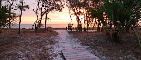 Sunrise at the Seaside Treetop Escape!