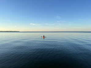 Kayak out from the house with the dolphins