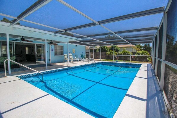 Take A Dip!