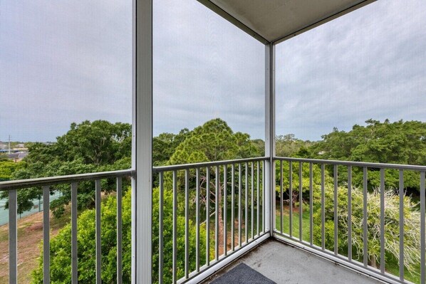 Amazing Nature View From Patio