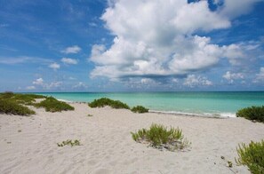 Crystal Blue Waters